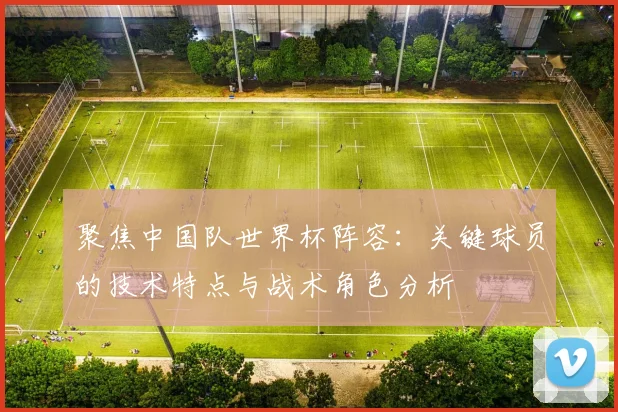 聚焦中国队世界杯阵容：关键球员的技术特点与战术角色分析