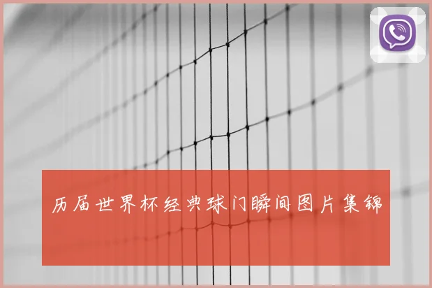 历届世界杯经典球门瞬间图片集锦