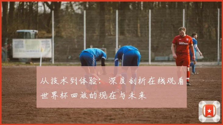 从技术到体验：深度剖析在线观看世界杯回放的现在与未来