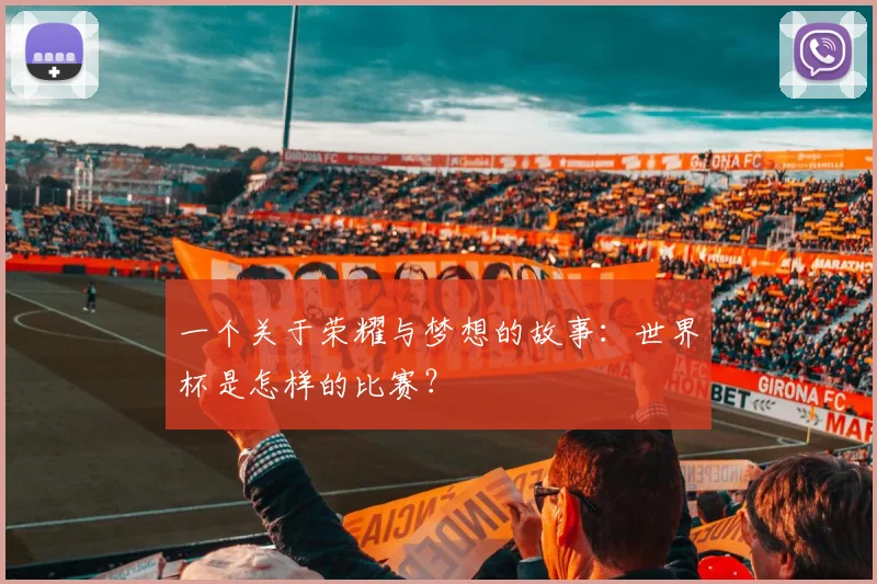 一个关于荣耀与梦想的故事：世界杯是怎样的比赛？
