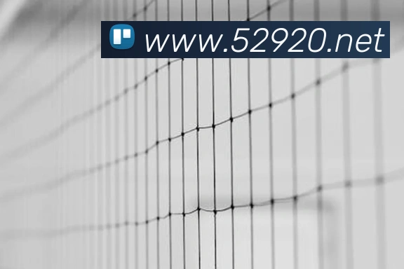 奇异果工作室官网品牌故事