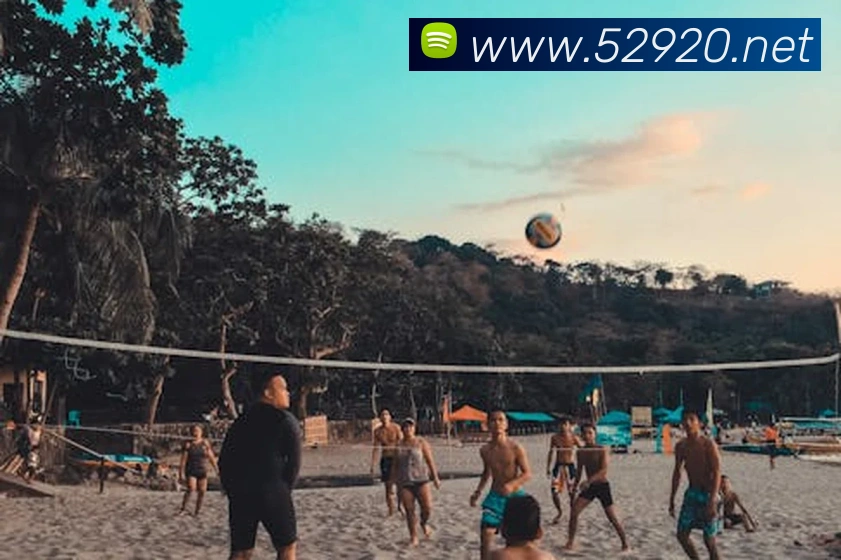 奇异果工作室官网服务体系